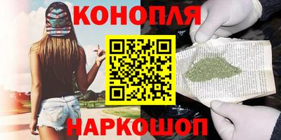шишки Будённовск