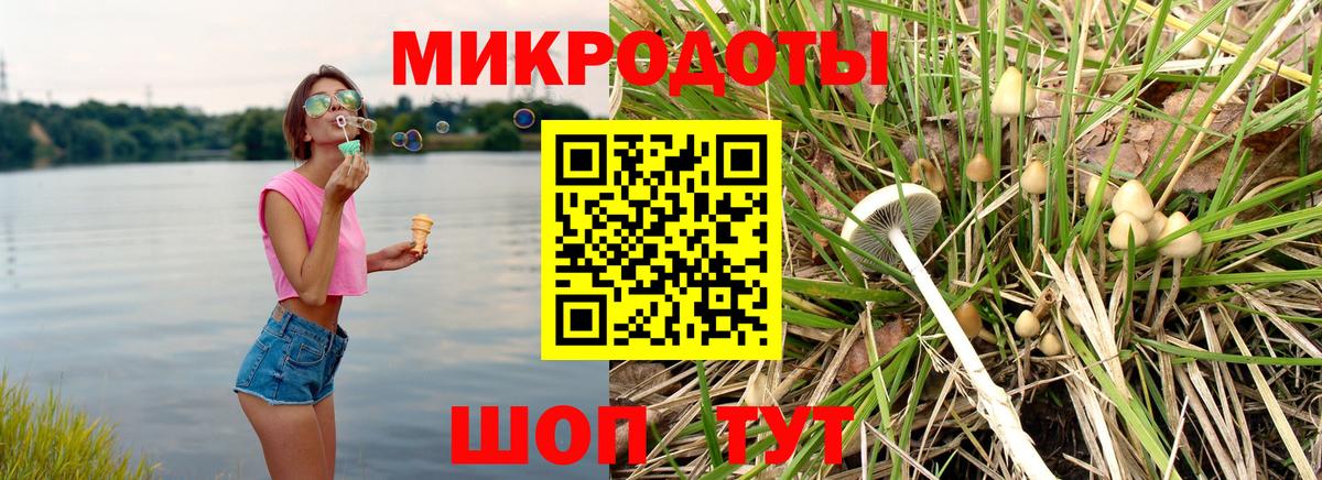 Рассказово  сколько стоит  Псилоцибиновые грибы MAGIC MUSHROOMS  Вход с VPN  Галлюциногенные грибы Cubensis 